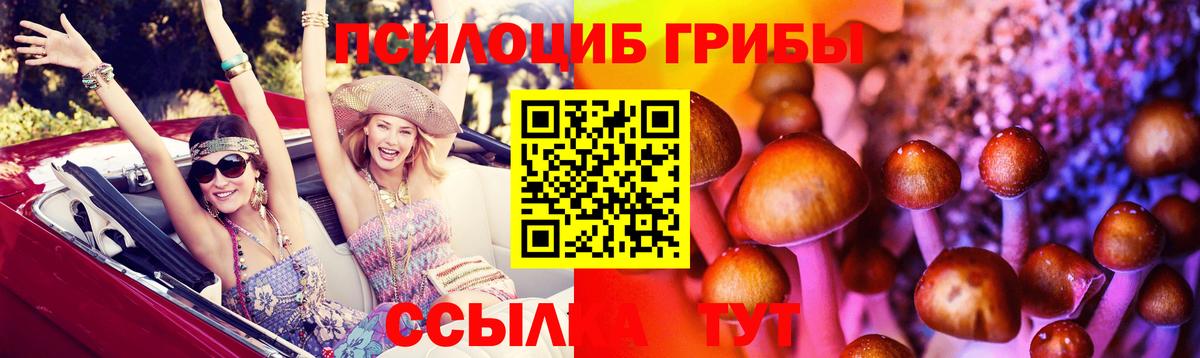 Михайловка  сколько стоит  Вход с VPN  Псилоцибиновые грибы мицелий  Галлюциногенные грибы мицелий 